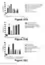 Fig. 31 - Molecular and Herbal Combinations with Methotrexate for Treating Diseases and Inflammatory Ailments