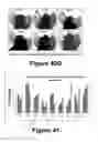 Fig. 40 - Molecular and Herbal Combinations with Methotrexate for Treating Diseases and Inflammatory Ailments