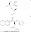 Fig. 14 - Methods for treating cognitive disorders using 1-benzyl-1-hydroxy-2,3-diamino-propyl amines, 3-benzyl-3-hydroxy-2-amino-propionic acid amides and related compounds
