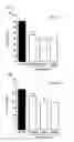 Fig. 05 - Pharmaceutical composition for inhibiting immune response through inducing differentiation into regulator T cells and promoting proliferation of regulator T cells
