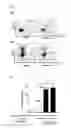 Fig. 07 - Pharmaceutical composition for inhibiting immune response through inducing differentiation into regulator T cells and promoting proliferation of regulator T cells