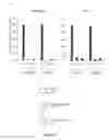 Fig. 10 - Structure and use of 5′ phosphate oligonucleotides