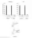 Fig. 11 - Structure and use of 5′ phosphate oligonucleotides