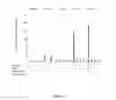 Fig. 12 - Structure and use of 5′ phosphate oligonucleotides