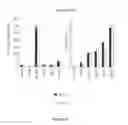 Fig. 25 - Structure and use of 5′ phosphate oligonucleotides