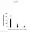 Fig. 06 - for the treatment of solid tumors in humans