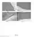 Fig. 02 - Compositions and methods for improving the health of aquatic animals