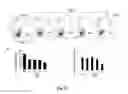 Fig. 13 - Composition comprising a purified extract isolated from var. containing abundant amount of active ingredient or the compounds isolated therefrom, as an active ingredient for treating a chronic obstructive pulmonary disease and the use thereof