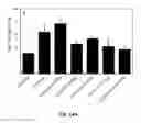 Fig. 15 - Composition comprising a purified extract isolated from var. containing abundant amount of active ingredient or the compounds isolated therefrom, as an active ingredient for treating a chronic obstructive pulmonary disease and the use thereof