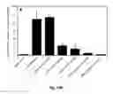 Fig. 16 - Composition comprising a purified extract isolated from var. containing abundant amount of active ingredient or the compounds isolated therefrom, as an active ingredient for treating a chronic obstructive pulmonary disease and the use thereof