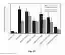 Fig. 17 - Composition comprising a purified extract isolated from var. containing abundant amount of active ingredient or the compounds isolated therefrom, as an active ingredient for treating a chronic obstructive pulmonary disease and the use thereof