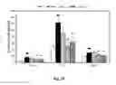 Fig. 22 - Composition comprising a purified extract isolated from var. containing abundant amount of active ingredient or the compounds isolated therefrom, as an active ingredient for treating a chronic obstructive pulmonary disease and the use thereof