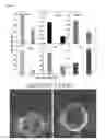 Fig. 02 - Anti-angiogenic peptides and uses thereof