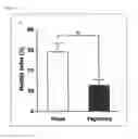 Fig. 09 - Postprandial gastrokinetic agent