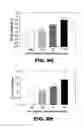 Fig. 16 - Blood substitute composition and method of use