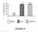 Fig. 18 - Botulinum Chimera Compositions for Axonal Regenerative Therapy During Spinal Cord Injury