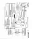 Fig. 19 - Botulinum Chimera Compositions for Axonal Regenerative Therapy During Spinal Cord Injury