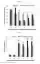 Fig. 13 - Compositions and methods for treatment of homocystinuria
