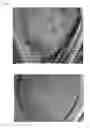 Fig. 02 - Vaccine against Rhipicephalus ticks