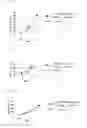 Fig. 12 - NOVEL CANCER ANTIGEN EEF2
