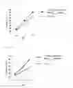 Fig. 13 - NOVEL CANCER ANTIGEN EEF2