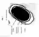 Fig. 02 - Bacillus based delivery system and methods of use