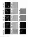 Fig. 05 - Bacillus based delivery system and methods of use