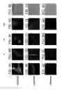 Fig. 11 - Bacillus based delivery system and methods of use