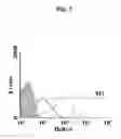 Fig. 13 - Bacillus based delivery system and methods of use