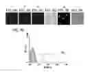 Fig. 14 - Bacillus based delivery system and methods of use