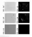 Fig. 19 - Bacillus based delivery system and methods of use