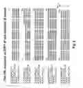 Fig. 05 - METHODS OF PRODUCING INFLUENZA VACCINE COMPOSITIONS