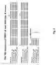 Fig. 06 - METHODS OF PRODUCING INFLUENZA VACCINE COMPOSITIONS