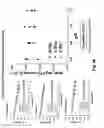 Fig. 52 - METHODS OF PRODUCING INFLUENZA VACCINE COMPOSITIONS