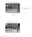Fig. 11 - Fluorocarbon-linked peptide formulation