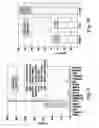 Fig. 05 - METHODS AND DEVICES FOR CANINE HERPESVIRUS 1 (CHV-1) DETECTION AND PREVENTION