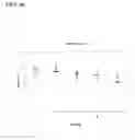 Fig. 15 - Conjugation of type 8 capsular polysaccharides