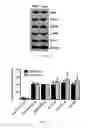 Fig. 02 - COMPOSITIONS AND METHODS FOR SELECTIVELY MODULATING TREGS