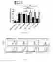 Fig. 04 - COMPOSITIONS AND METHODS FOR SELECTIVELY MODULATING TREGS