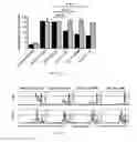 Fig. 05 - COMPOSITIONS AND METHODS FOR SELECTIVELY MODULATING TREGS