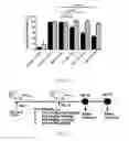 Fig. 06 - COMPOSITIONS AND METHODS FOR SELECTIVELY MODULATING TREGS