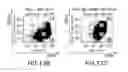 Fig. 27 - COMPOSITIONS AND METHODS FOR SELECTIVELY MODULATING TREGS