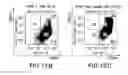 Fig. 31 - COMPOSITIONS AND METHODS FOR SELECTIVELY MODULATING TREGS