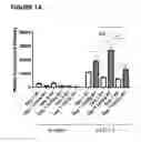 Fig. 02 - Methods of treatment with antagonists against PD-1 and PD-L1 in combination with radiation therapy