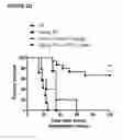 Fig. 05 - Methods of treatment with antagonists against PD-1 and PD-L1 in combination with radiation therapy