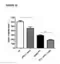 Fig. 06 - Methods of treatment with antagonists against PD-1 and PD-L1 in combination with radiation therapy