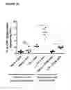 Fig. 15 - Methods of treatment with antagonists against PD-1 and PD-L1 in combination with radiation therapy