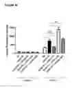 Fig. 18 - Methods of treatment with antagonists against PD-1 and PD-L1 in combination with radiation therapy