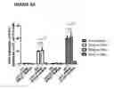 Fig. 19 - Methods of treatment with antagonists against PD-1 and PD-L1 in combination with radiation therapy