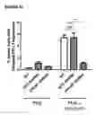 Fig. 21 - Methods of treatment with antagonists against PD-1 and PD-L1 in combination with radiation therapy
